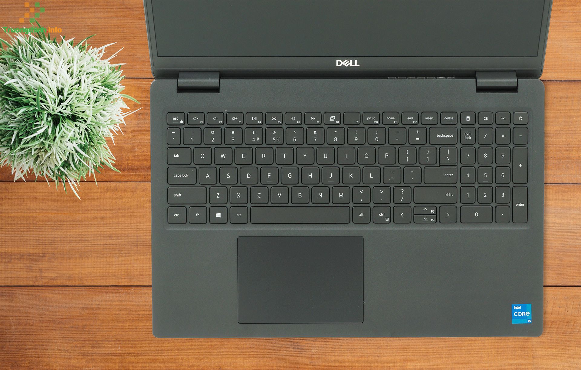 mua bán thay bàn phím laptop Dell Latitude 3520 Giá Rẻ | Vi Tính Trường Thịnh mua bán thay bàn phím laptop Dell Latitude 3520 Giá Rẻ | Vi Tính Trường Thịnh