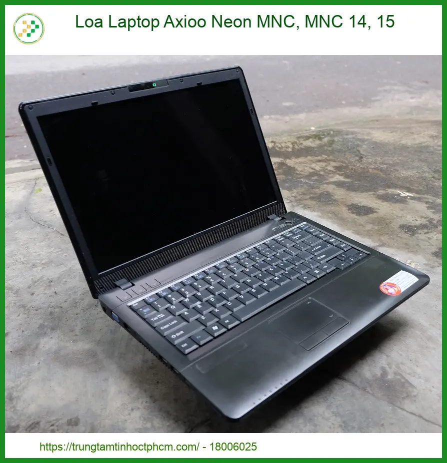 Thay Loa Laptop Axioo Neon Mnc, Mnc 14, 15 Zin Chính Hãng - Lấy Liền Tại Chỗ