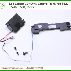 Thay Loa Laptop Lenovo Thinkpad T520 T520i T530 T530i Zin Chính Hãng Lấy Liền