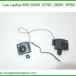 Loa Laptop Msi Gx60, Gt60, Ge60, Gp60 Chính Hãng - Thay Thế Lấy Liền Tại Tphcm