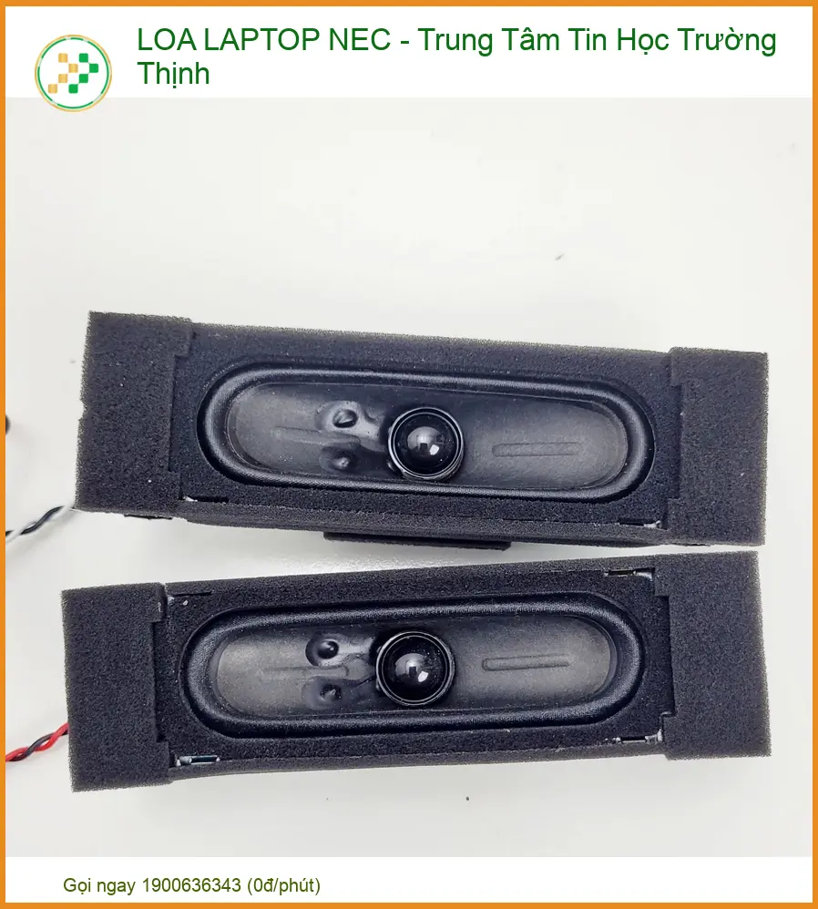 Lý Do Nên Lựa Chọn Dịch Vụ Thay Thế Loa Laptop Nec Tại Trung Tâm Trường Thịnh