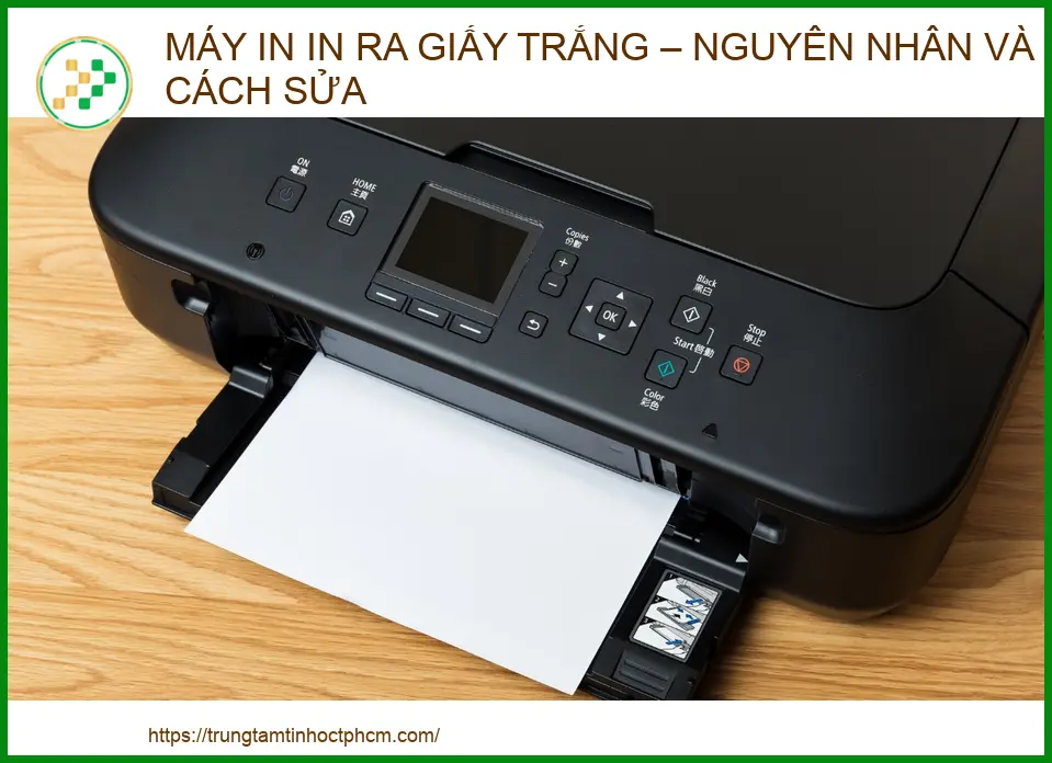 Máy in in ra giấy trắng: Nguyên nhân và cách khắc phục triệt để từ chuyên gia