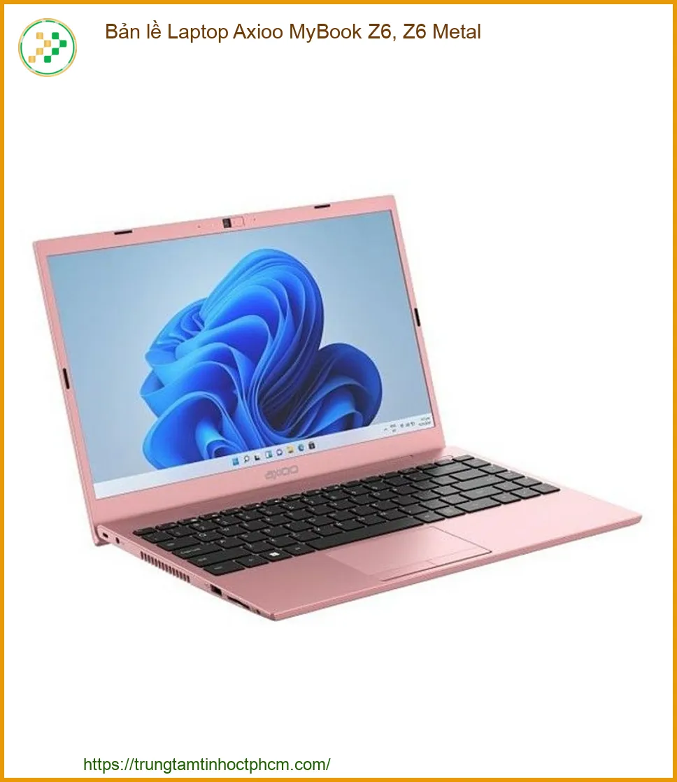 Bản lề Laptop Axioo MyBook Z6, Z6 Metal