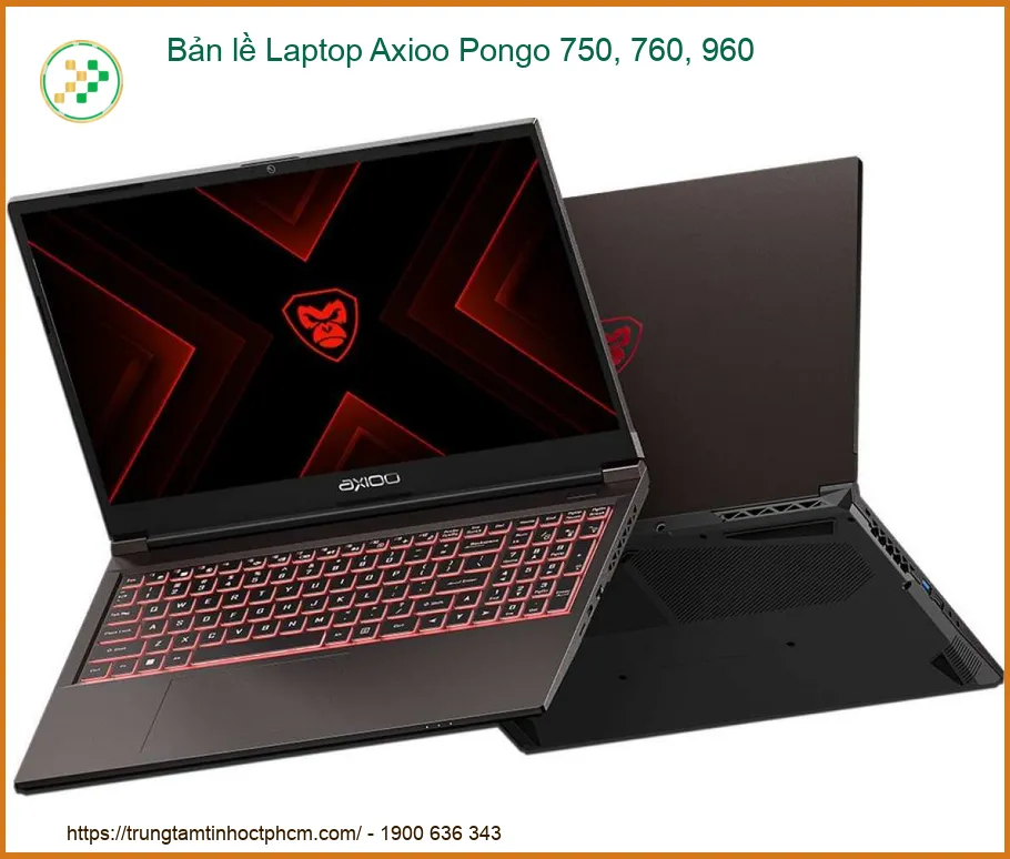Bản lề Laptop Axioo Pongo 750, 760, 960 | Thay tận nơi, bảo hành 12 tháng
