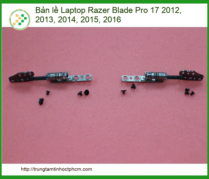 Bản Lề Laptop Razer Blade Pro 17 2012-2016 - Thay Lấy Ngay Giá Tốt