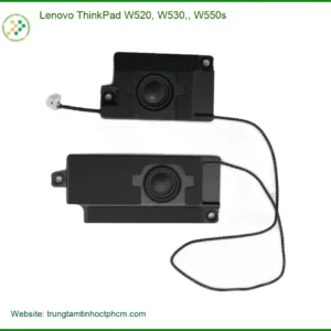 Loa Laptop Lenovo ThinkPad W520 W530 - Thay Loa Lấy Liền Giá Rẻ TPHCM