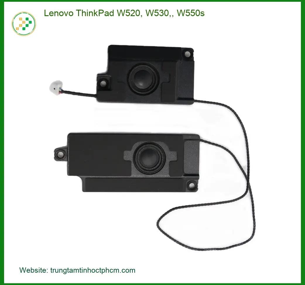 Loa Laptop Lenovo ThinkPad W520 W530 - Thay Loa Lấy Liền Giá Rẻ TPHCM