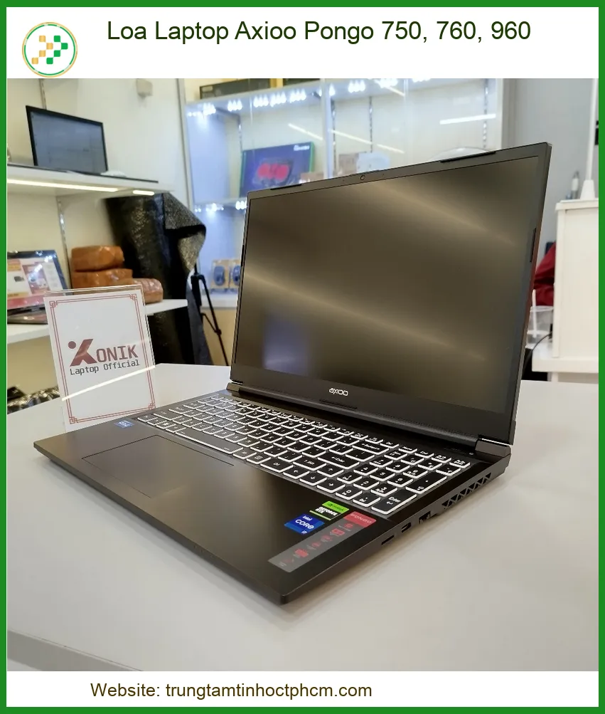 Loa Laptop Axioo Pongo 750, 760, 960 Giá Rẻ, Thay Loa Nhanh Chóng Tại Nhà