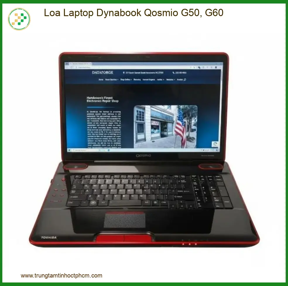Loa Laptop Dynabook Qosmio G50, G60 Zin Chính Hãng - Thay Thế Lấy Ngay Tphcm