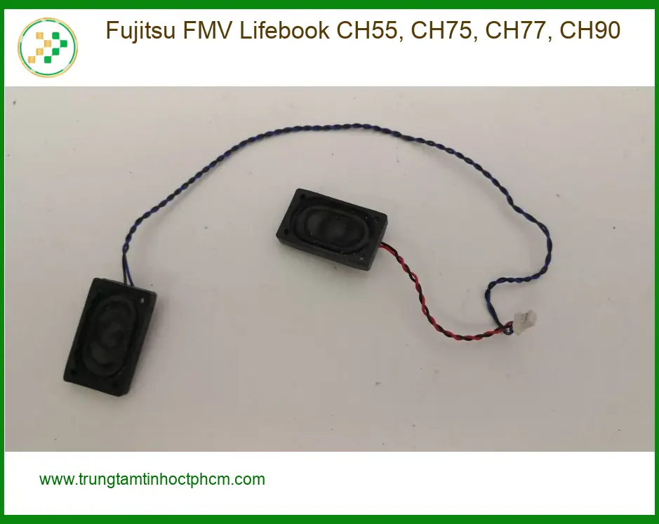 Loa Laptop Fujitsu - Thay Sửa Nhanh Tại Trung Tâm Gần Nhất TPHCM