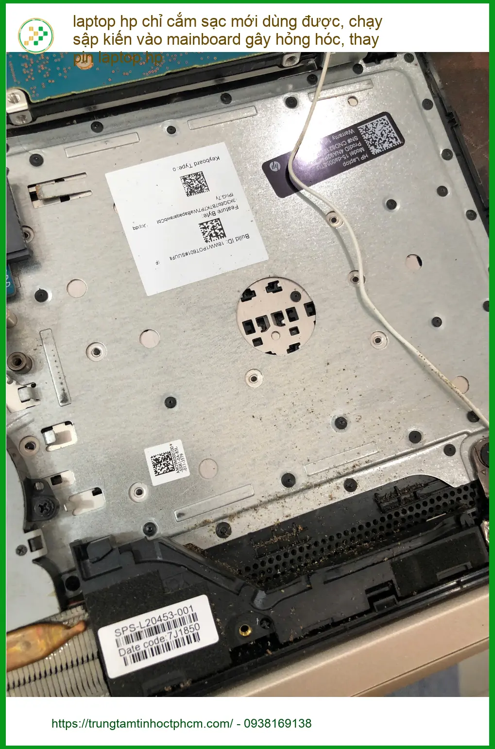 Trung tâm thay pin laptop HP Quận Bình Thạnh - Chú Hùng lo lắng vì kiến ảnh thực tế 1