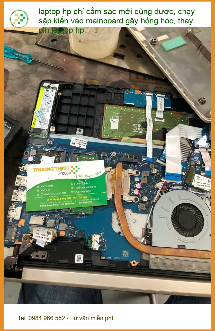 Trung tâm thay pin laptop HP Quận Bình Thạnh - Chú Hùng lo lắng vì kiến ảnh thực tế 2