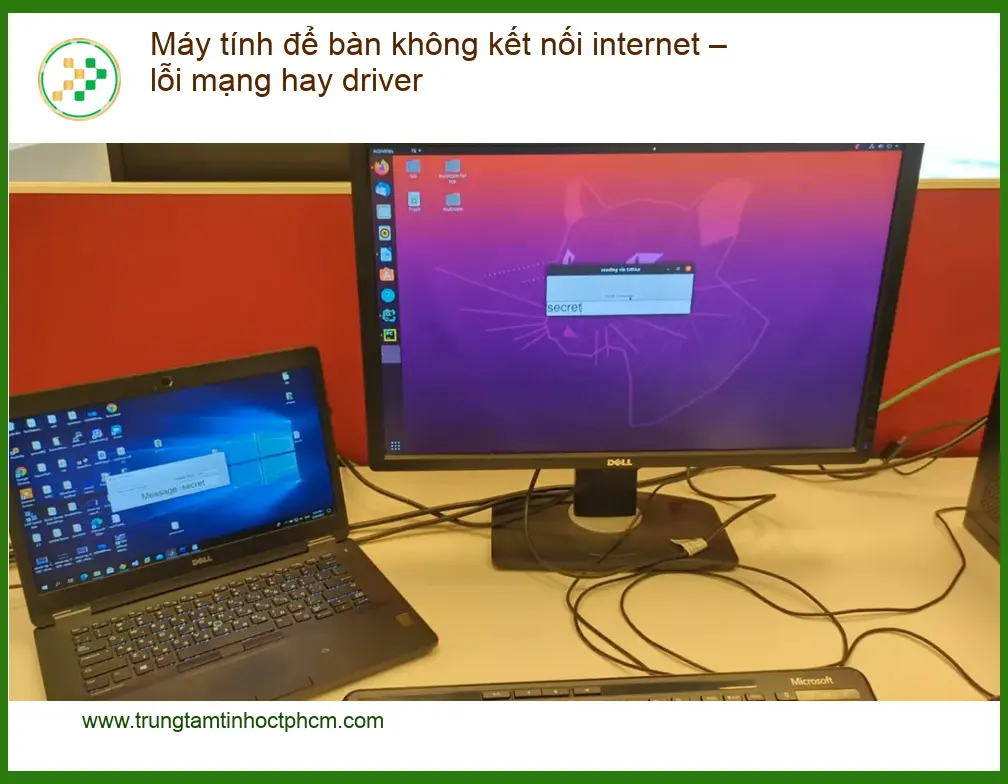 PC Máy tính để bàn mất mạng: Lỗi driver hay cáp? - Sửa chữa TPHCM