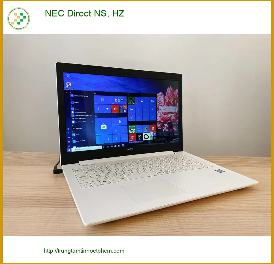 Thay Bản Lề Laptop NEC Direct NS, HZ - Lấy Liền TPHCM, Giá Tốt Nhất