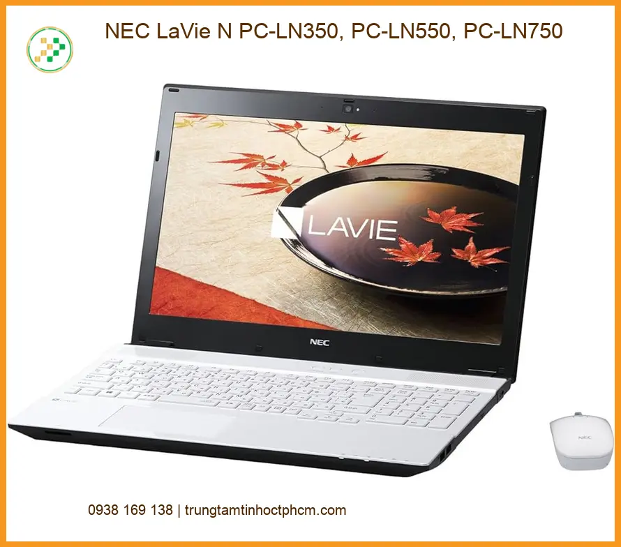 Loa Laptop Nec LaVie N - Thay Loa Laptop Lấy Liền, Giá Rẻ Tại Trung Tâm TPHCM