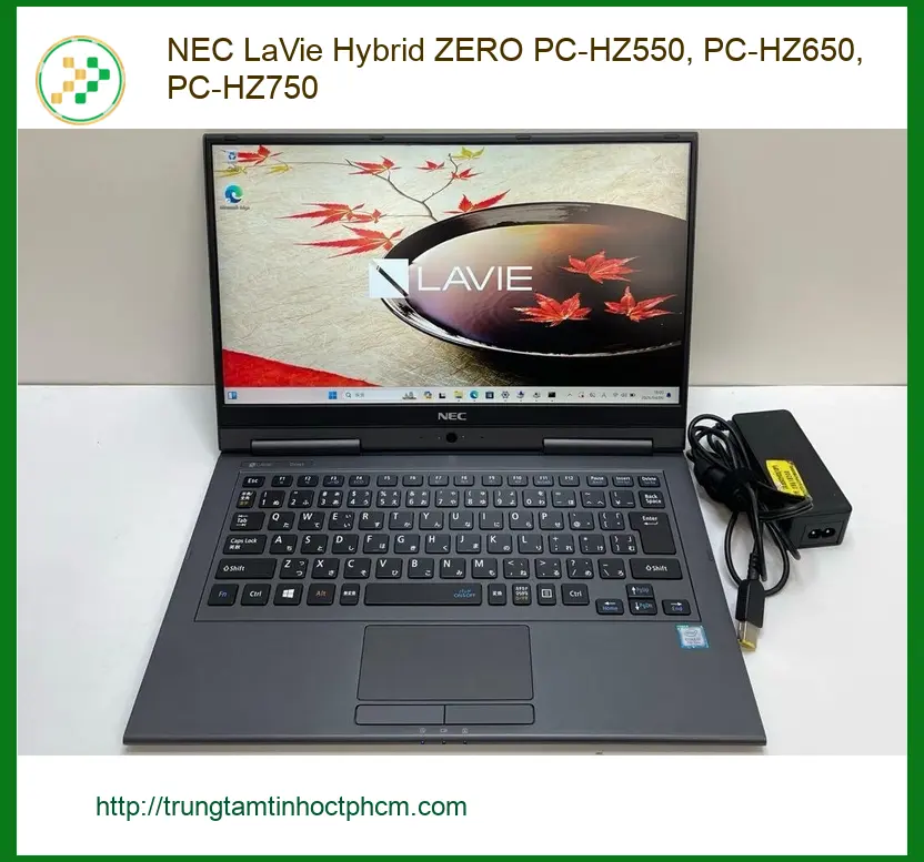 Thay Loa Laptop Nec - Trung Tâm TPHCM Lấy Liền Giá Rẻ