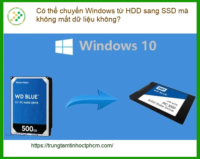 PC Có thể chuyển Windows từ HDD sang SSD không? - Tư vấn chuyên gia Trường Thịnh