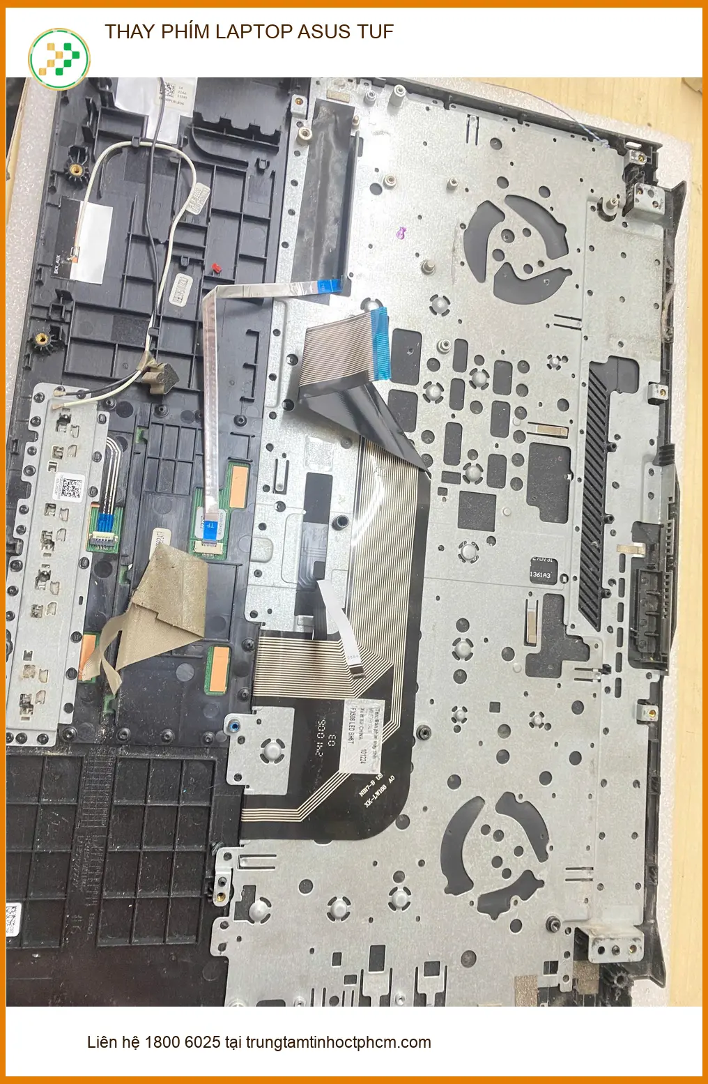 Anh Quang thay phím Asus Tuf bị liệt ở Gò Vấp - Review dịch vụ lấy liền ảnh thực tế 1