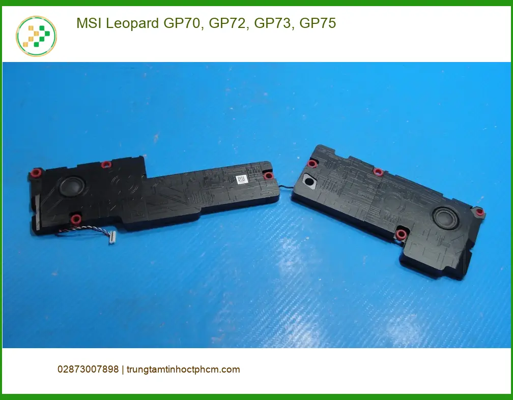 Loa Laptop MSI Leopard GP70, GP72, GP73, GP75 - Thay Lấy Ngay Giá Rẻ TPHCM